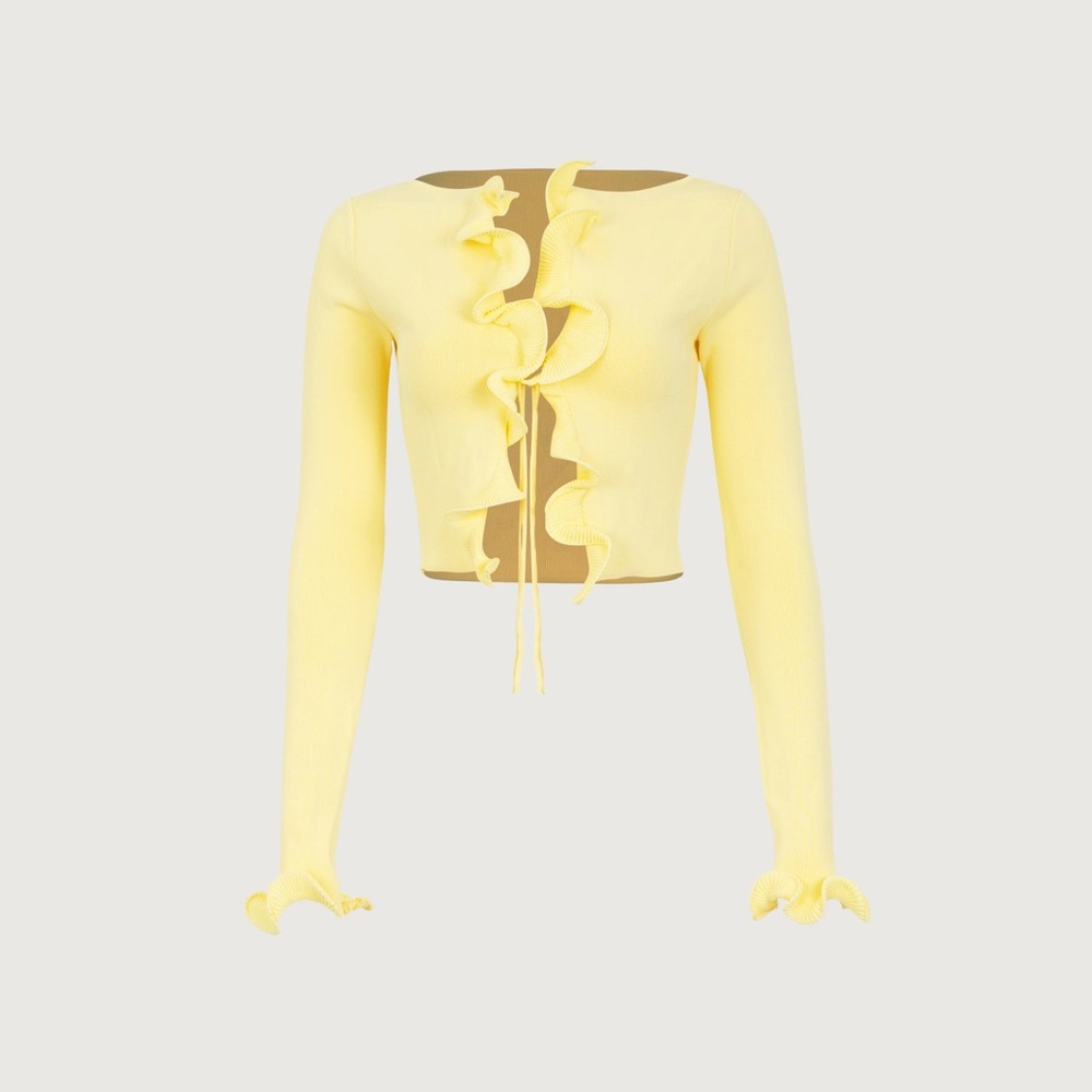 NWOT SAME Ruffle Hem Top (XS) - SOLD OUT